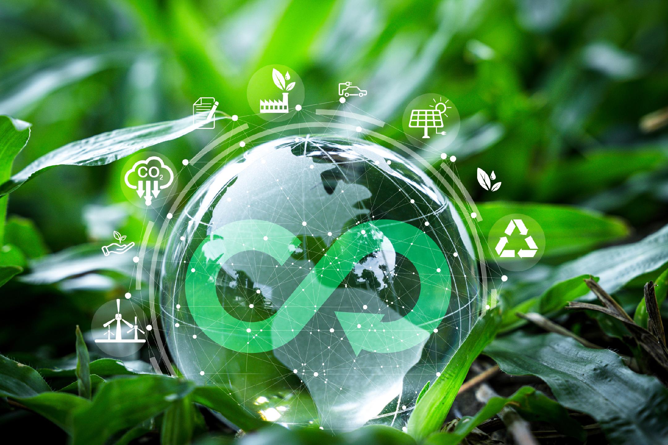 九部門聯(lián)合印發(fā) 《關(guān)于實(shí)施綠色消費(fèi)推進(jìn)行動的通知》